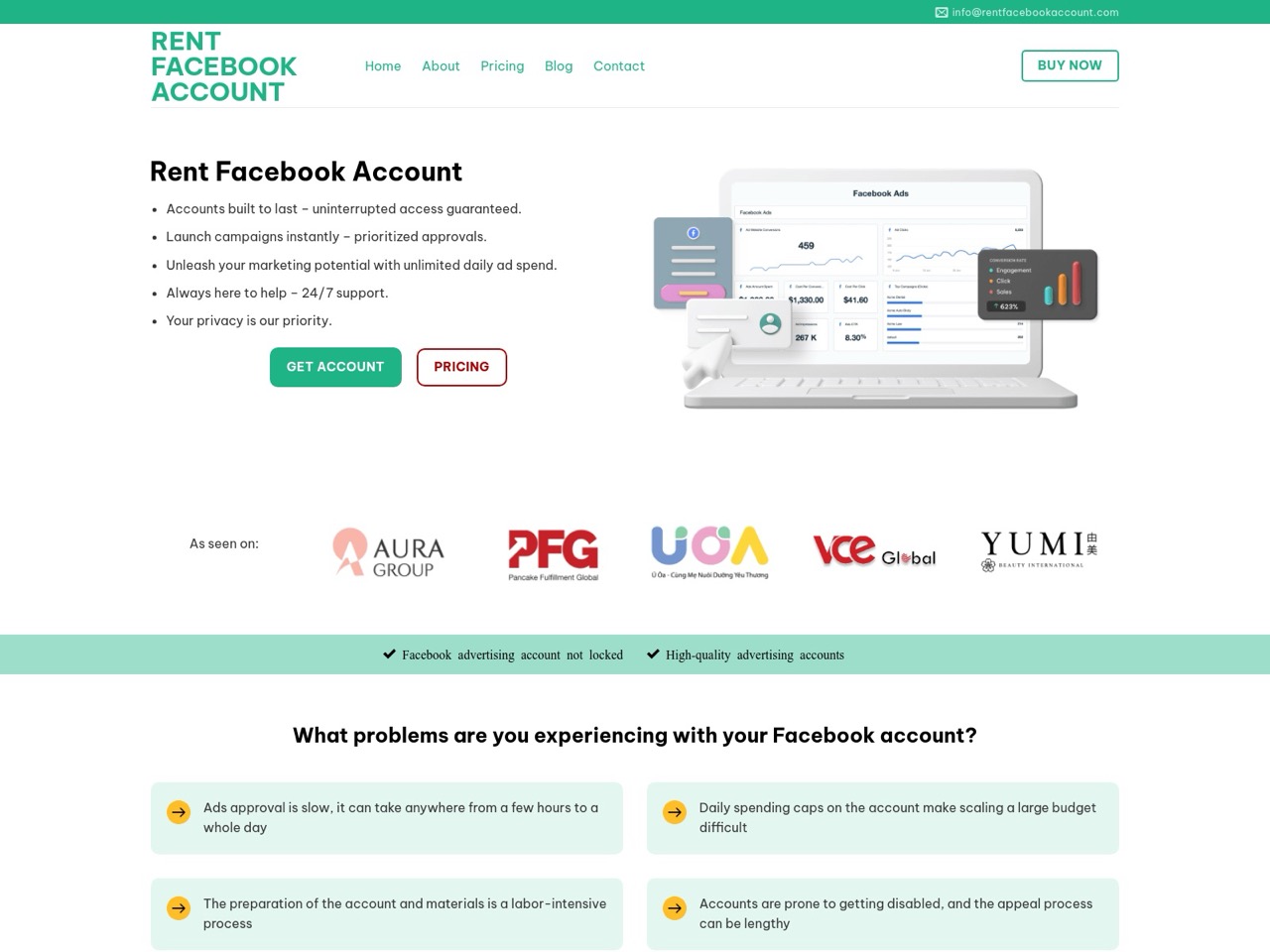 Figure 2 Online services offering rented accounts for ad management