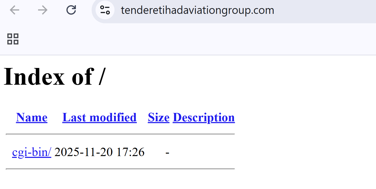 Figure 4 - Open directories and parked domains were observed also targeting functional vendors and operations associated with airlines
