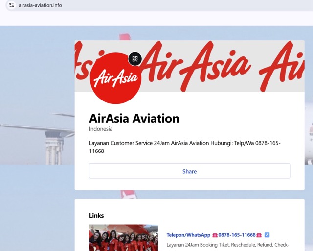Figure 8 - Domains in nascent stages found after the Indigo crisis. Another example is a fake airline portal targeting AirAsia